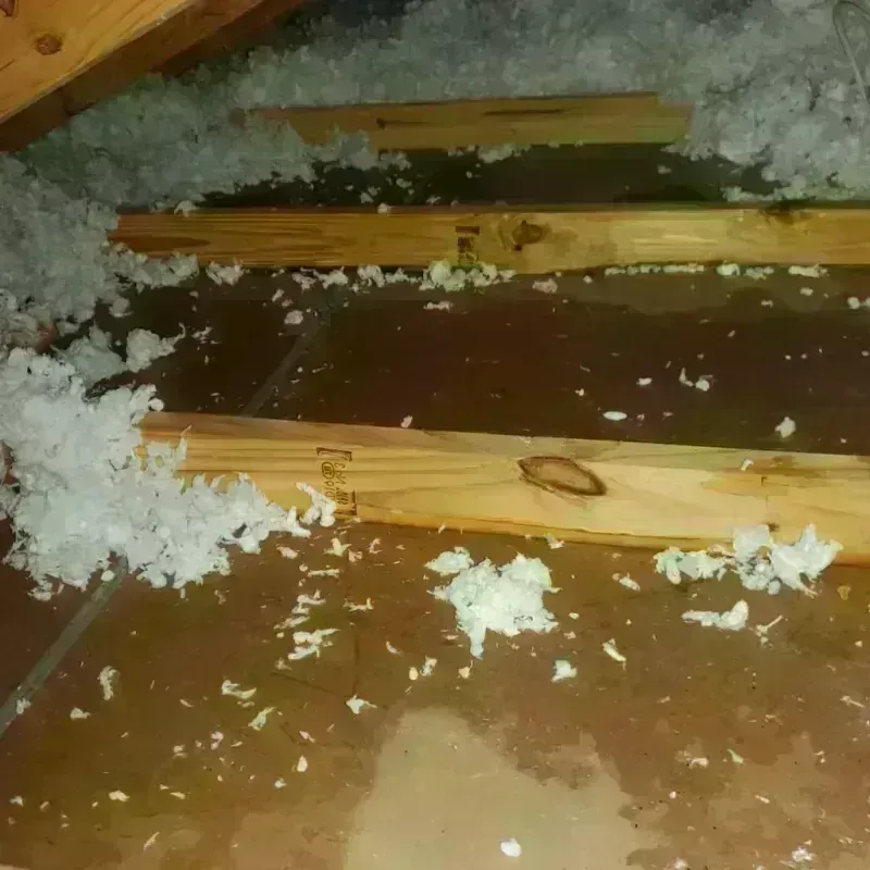 Attic Water Damage in Coosada, AL