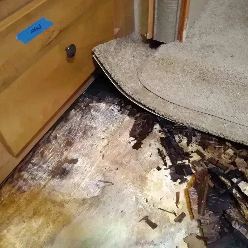 Wood Floor Water Damage in Coosada, AL